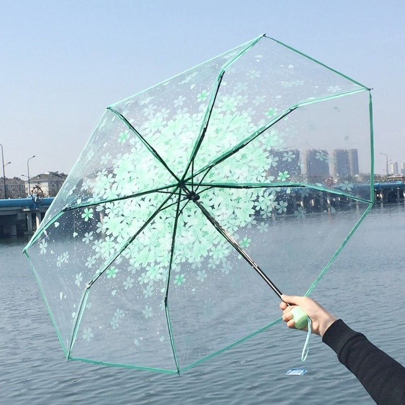 Cherry Blossom Transparent Umbrella