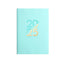 Soft Leather 2025 Planner